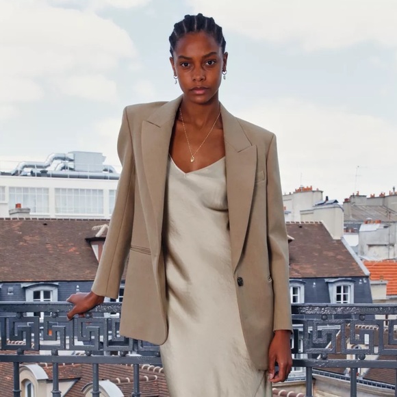 Aritzia Santos Blazer - Picture 1 of 7